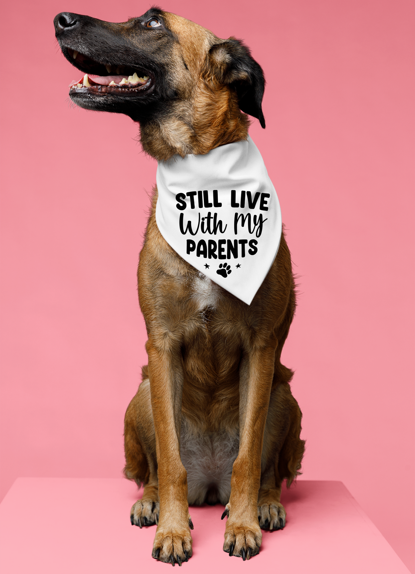 Still Live with My Parents: Detachable Collar Dog Bandana