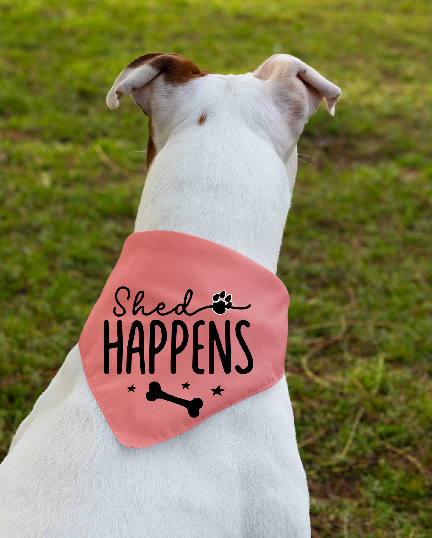 Shed Happens: Detachable Collar Dog Bandana