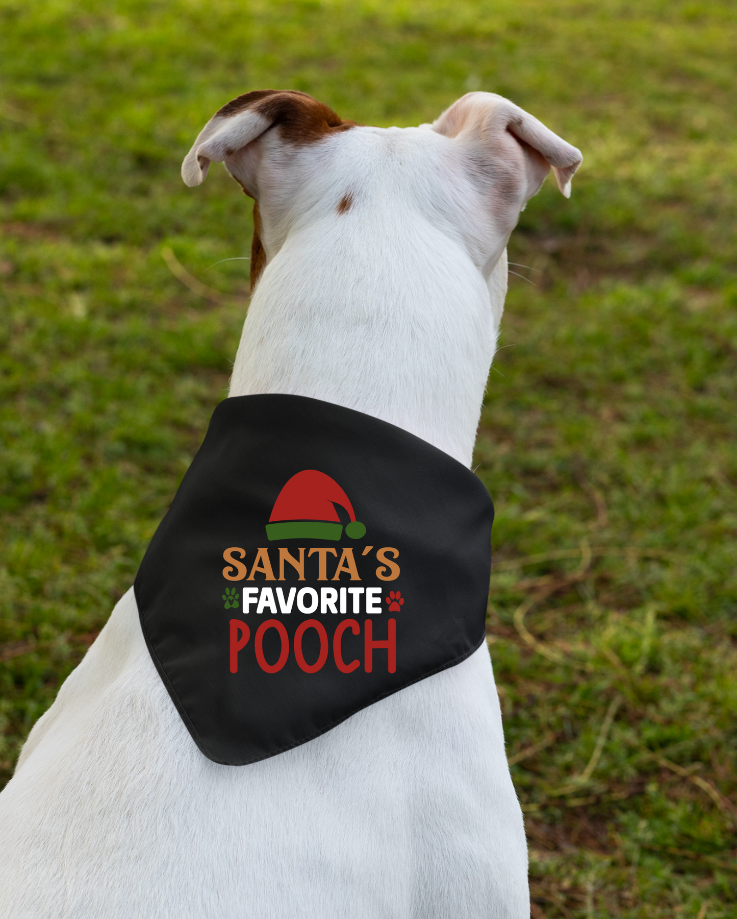 Santa's Favorite Pooch - Festive Dog Bandana
