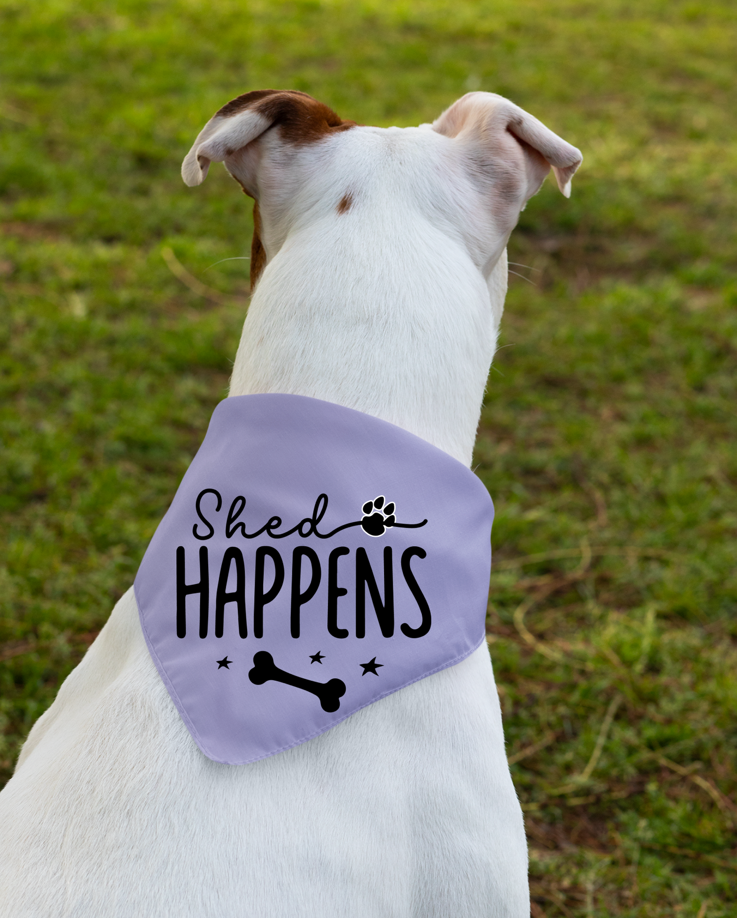 Shed Happens: Detachable Collar Dog Bandana