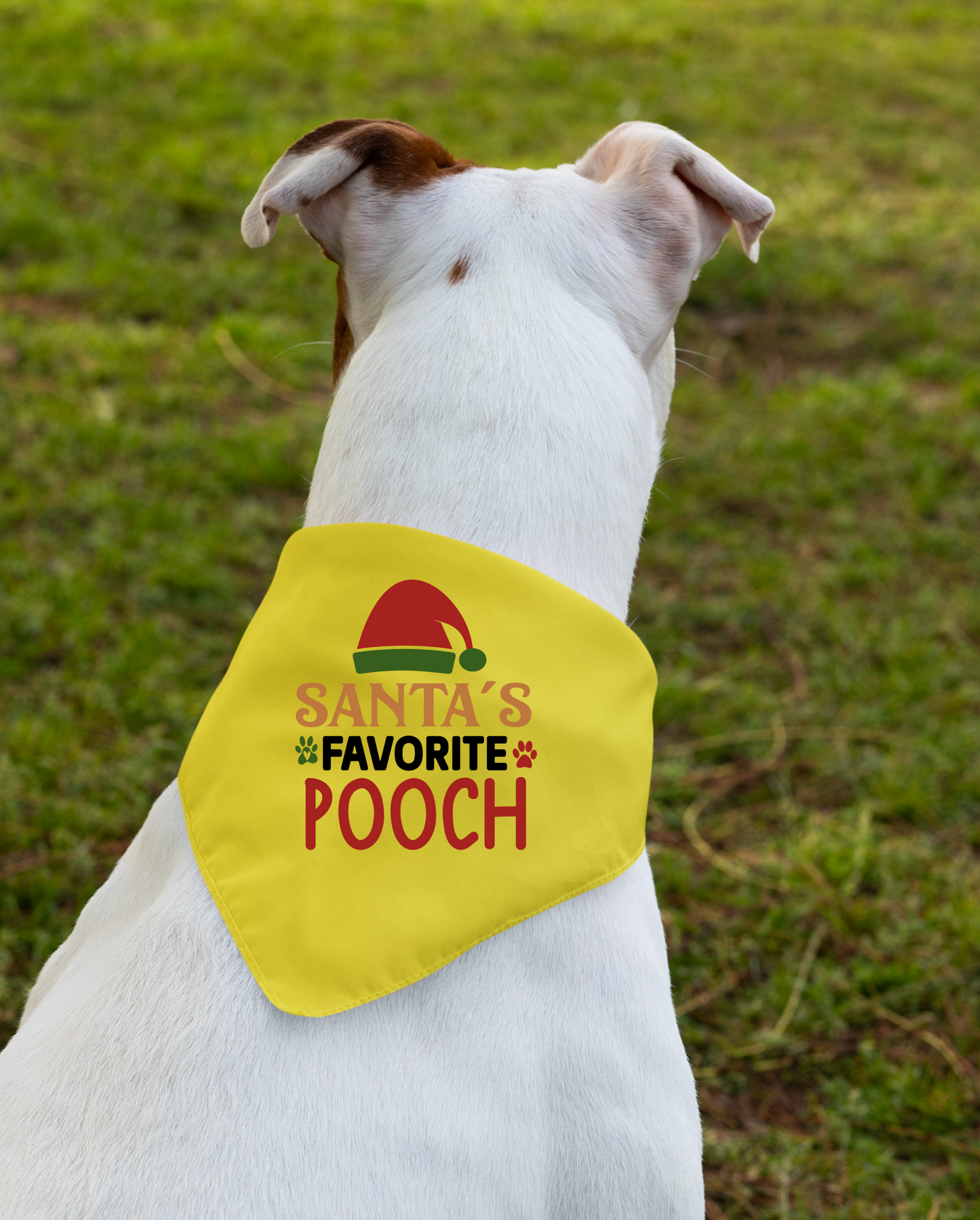 Santa's Favorite Pooch - Festive Dog Bandana