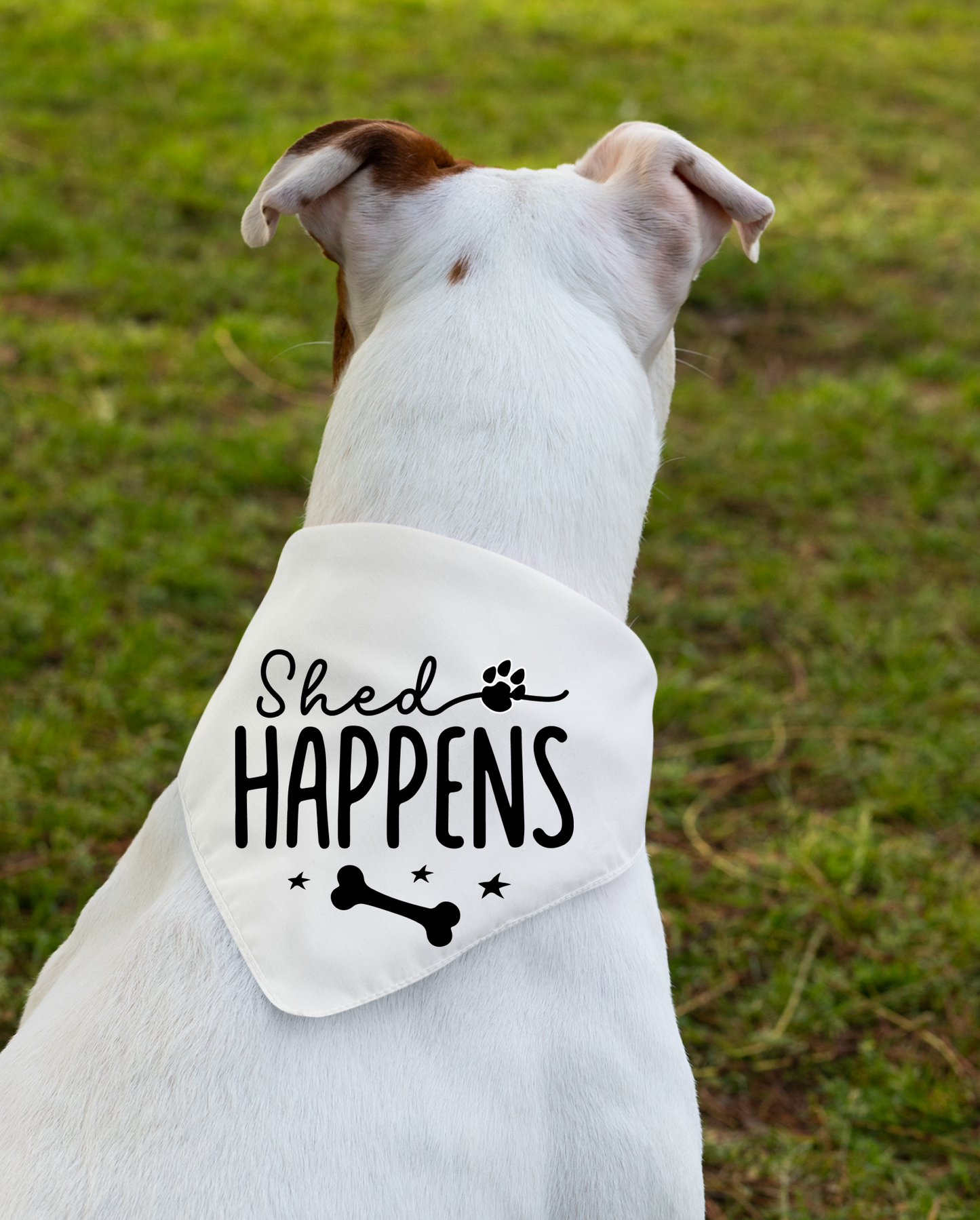 Shed Happens: Detachable Collar Dog Bandana