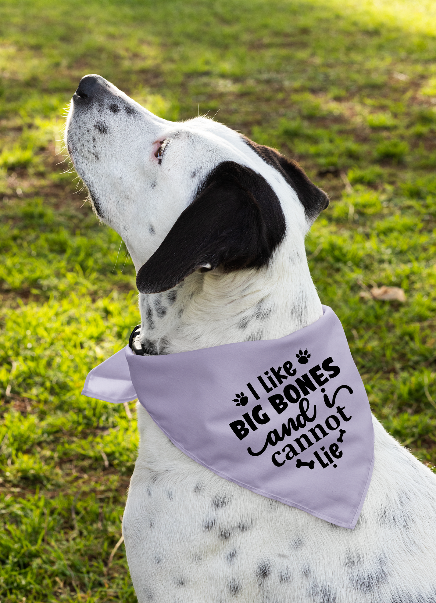I Like Big Bones and I Cannot Lie: Detachable Collar Dog Bandana