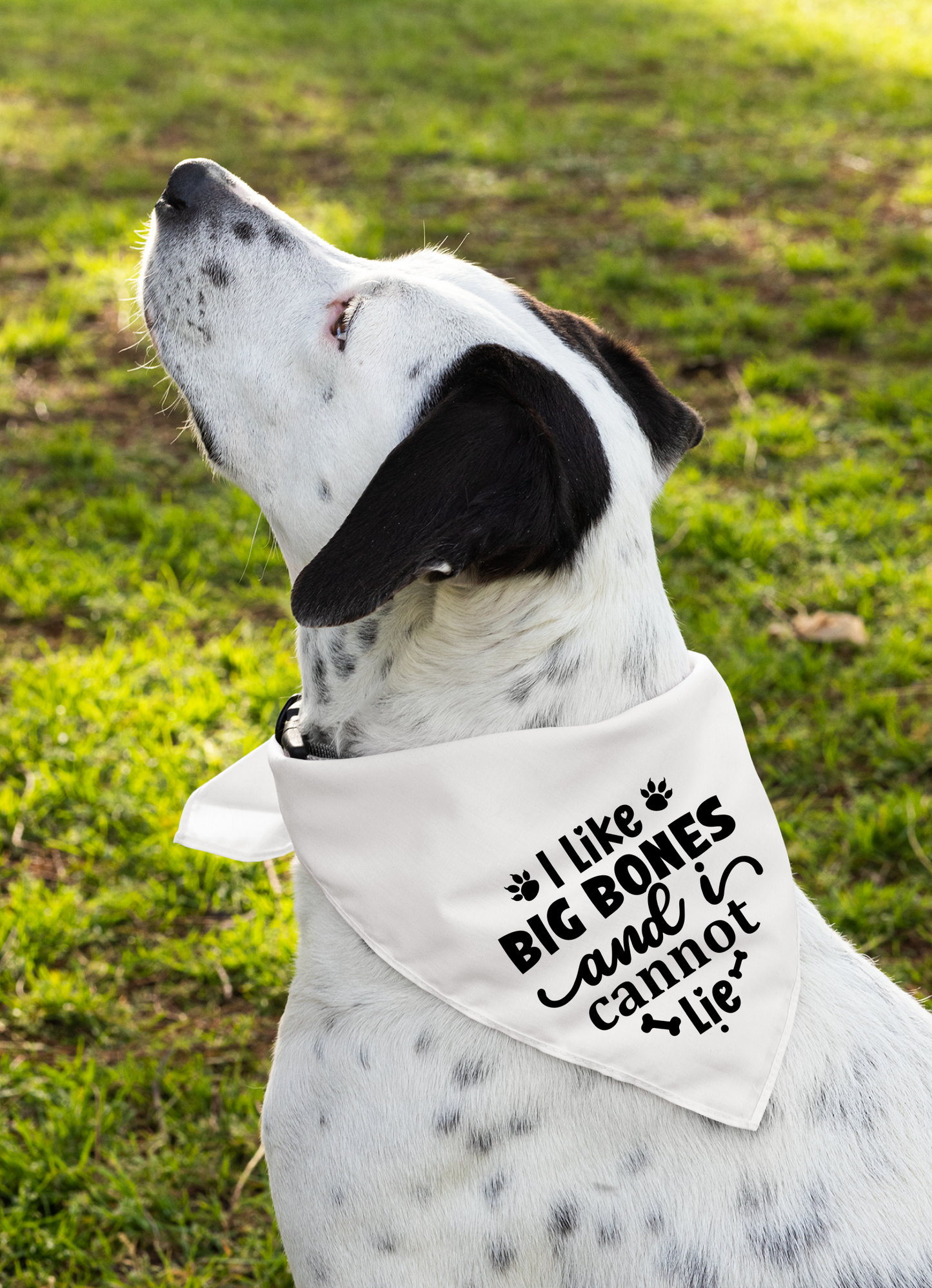 I Like Big Bones and I Cannot Lie: Detachable Collar Dog Bandana