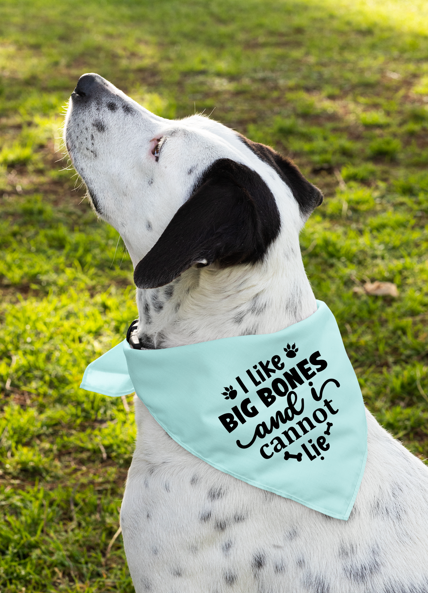 I Like Big Bones and I Cannot Lie: Detachable Collar Dog Bandana