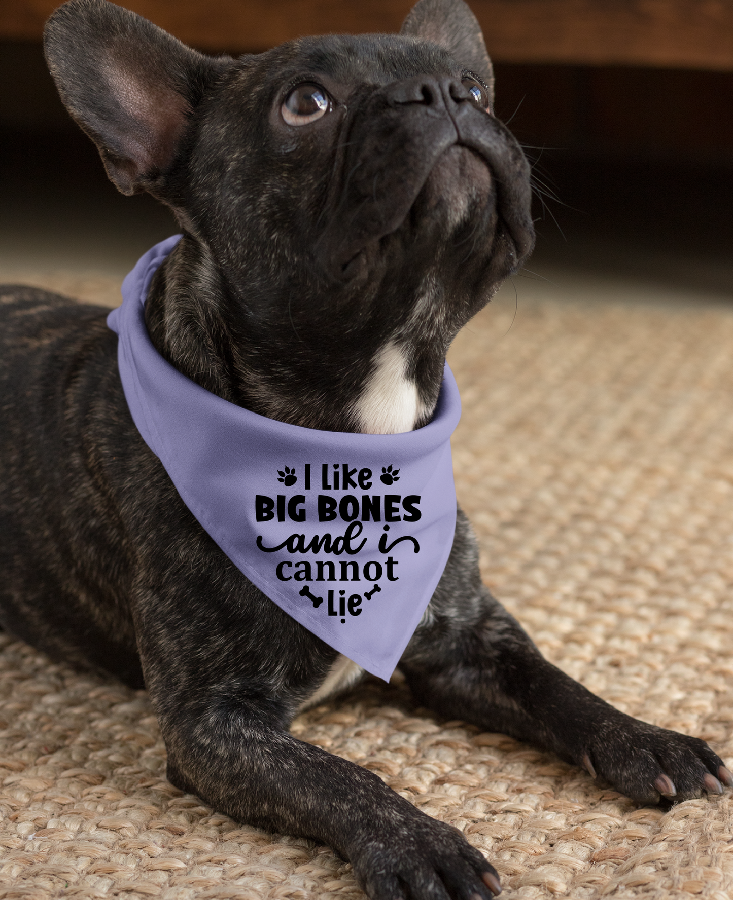 I Like Big Bones and I Cannot Lie: Detachable Collar Dog Bandana