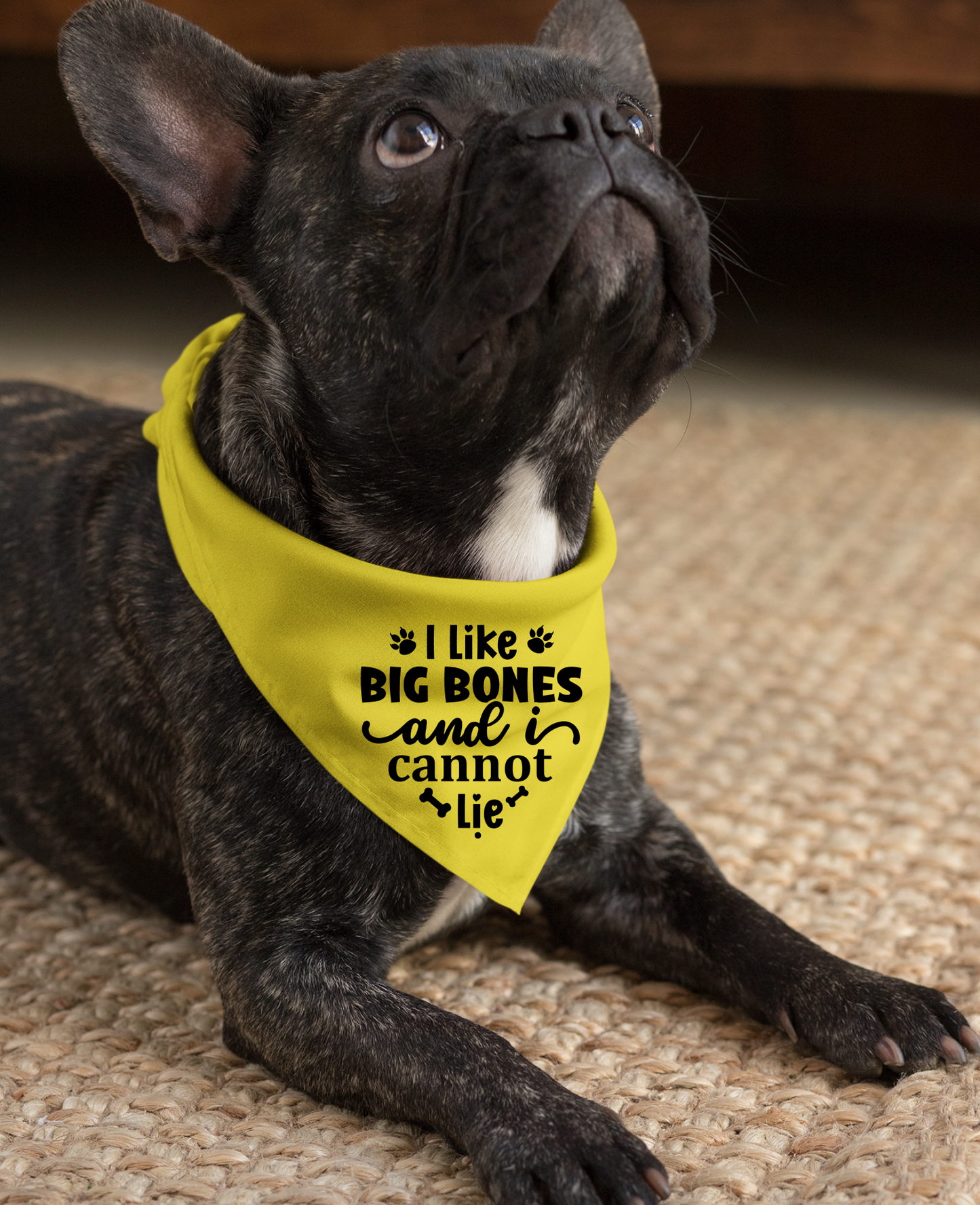 I Like Big Bones and I Cannot Lie: Detachable Collar Dog Bandana