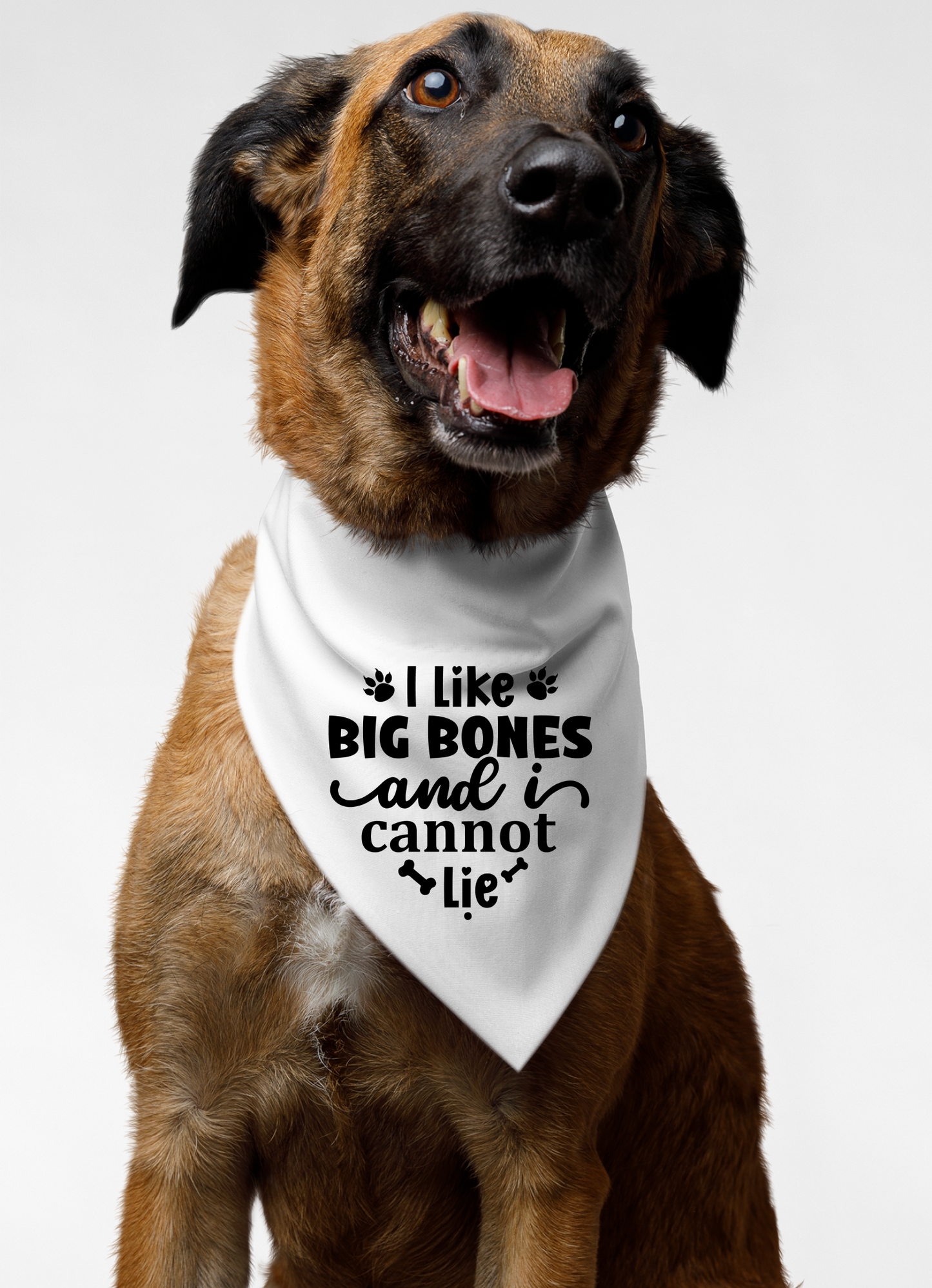 I Like Big Bones and I Cannot Lie: Detachable Collar Dog Bandana