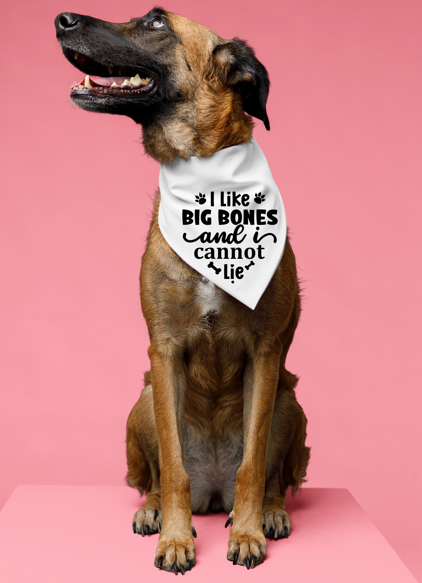 I Like Big Bones and I Cannot Lie: Detachable Collar Dog Bandana