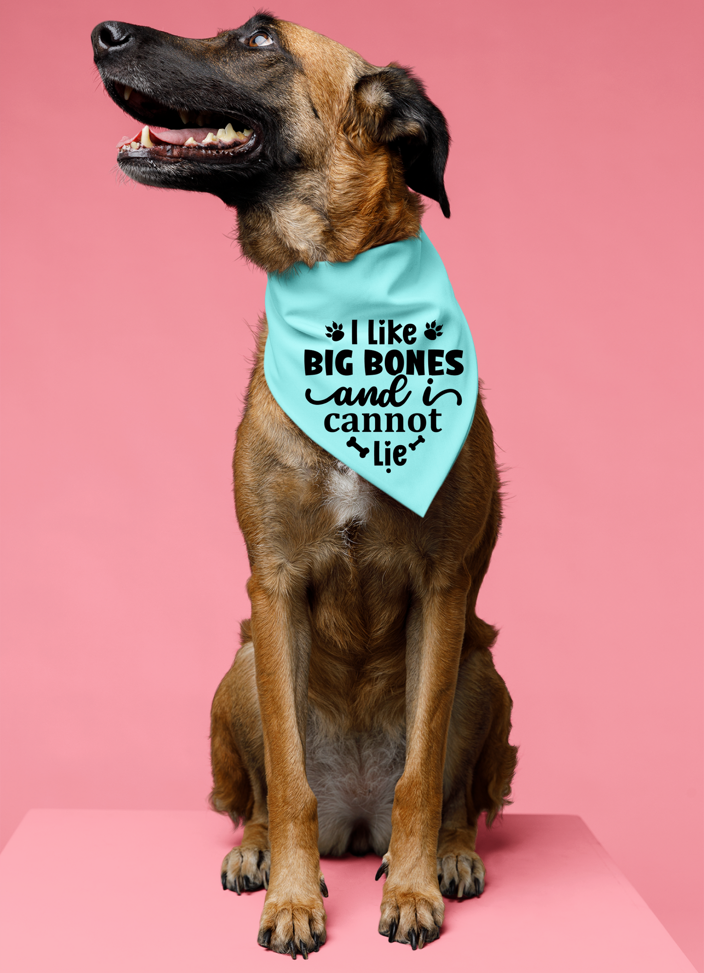 I Like Big Bones and I Cannot Lie: Detachable Collar Dog Bandana
