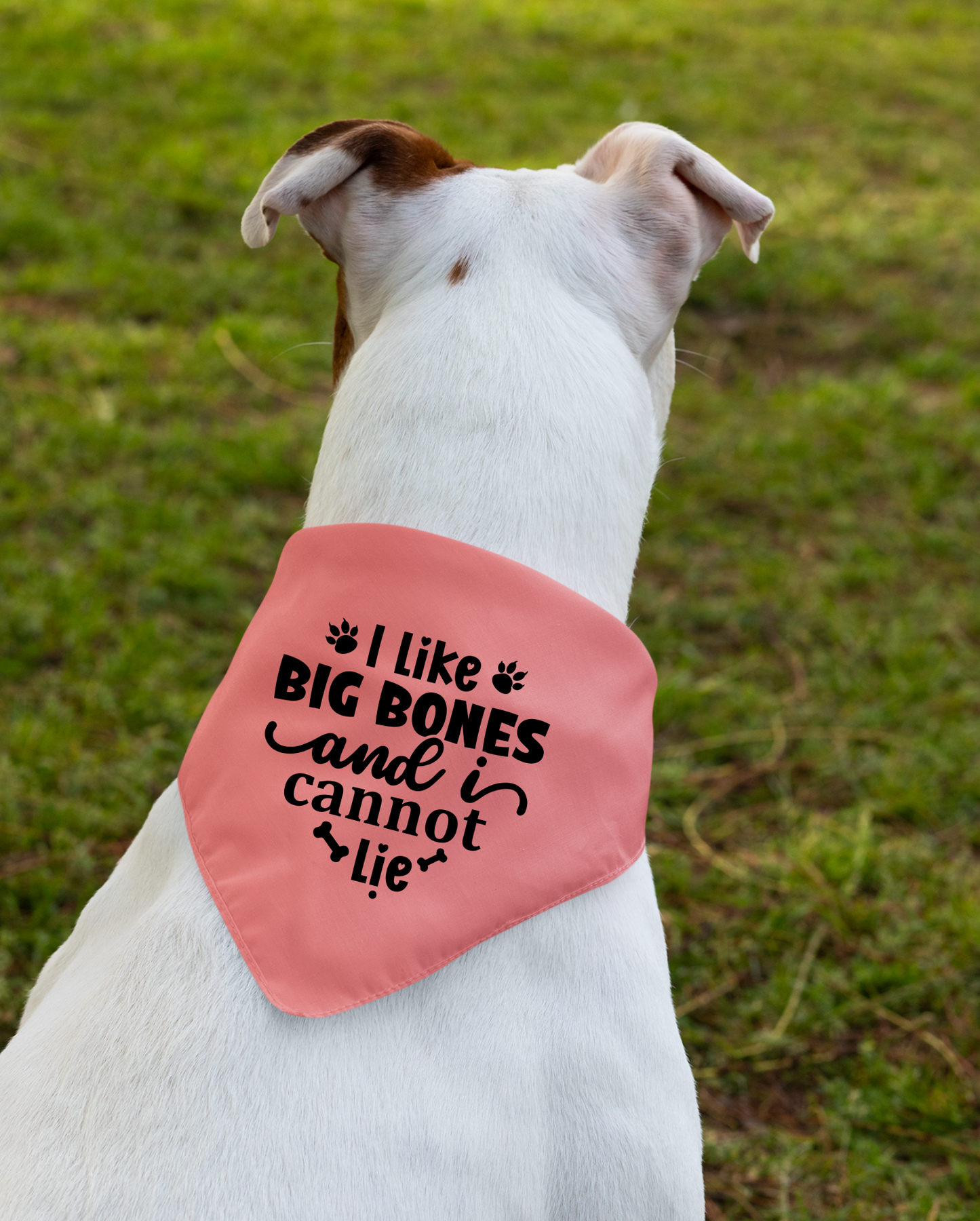 I Like Big Bones and I Cannot Lie: Detachable Collar Dog Bandana
