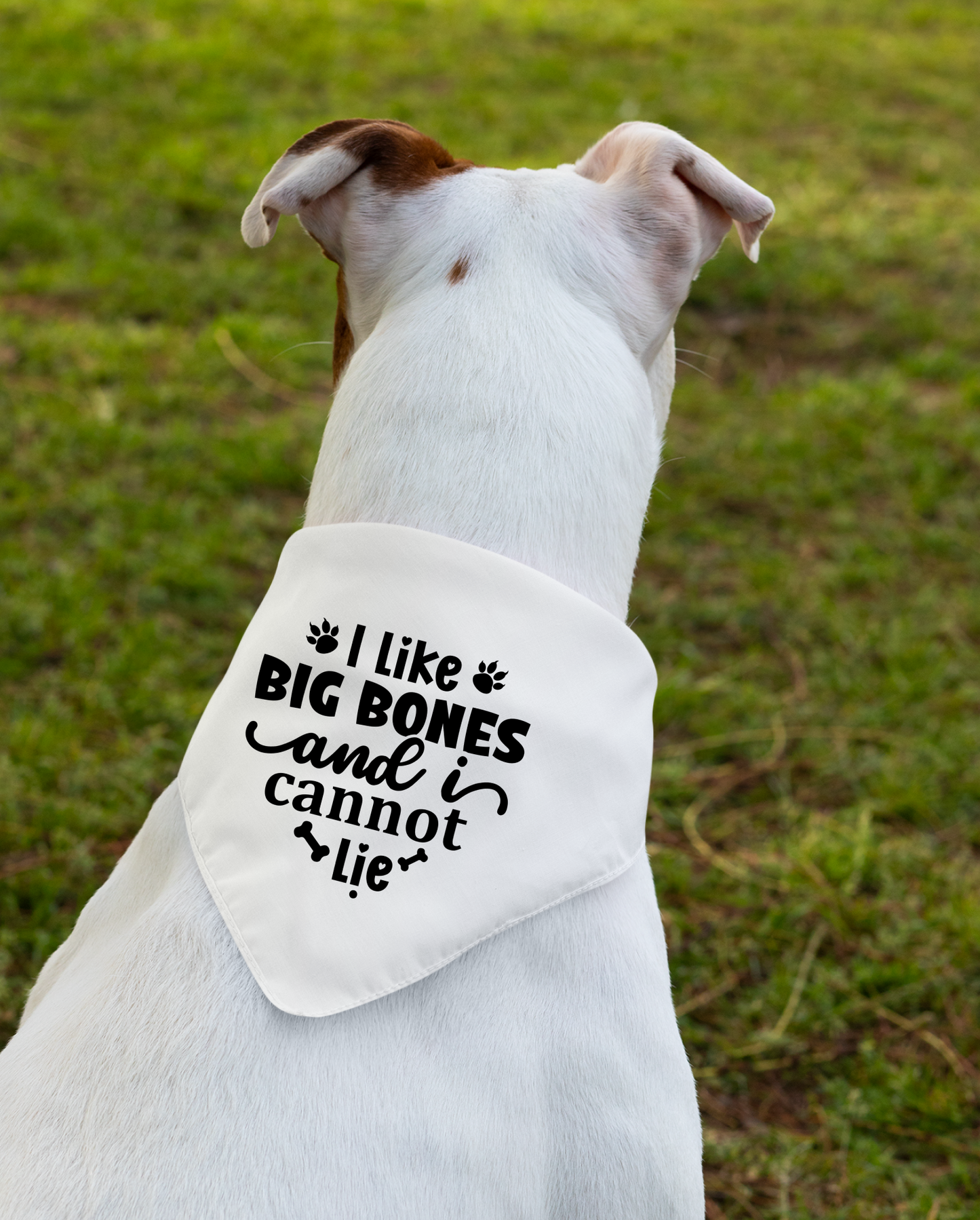 I Like Big Bones and I Cannot Lie: Detachable Collar Dog Bandana