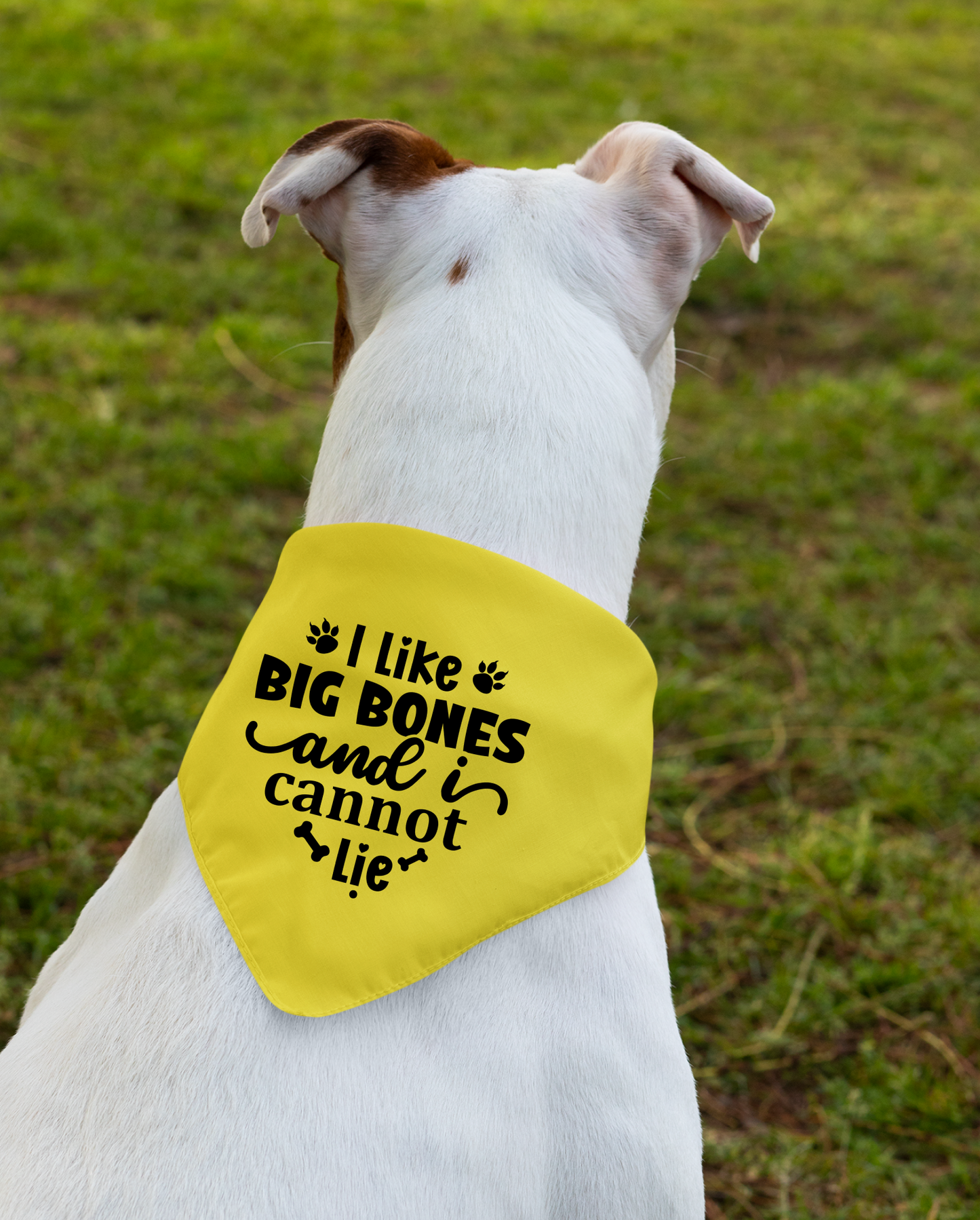 I Like Big Bones and I Cannot Lie: Detachable Collar Dog Bandana