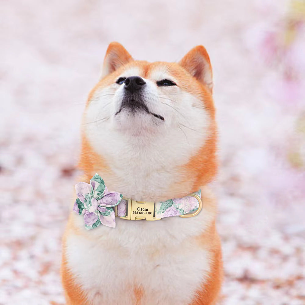 Ultimate Comfort Pet Collar – Adjustable & Durable Design